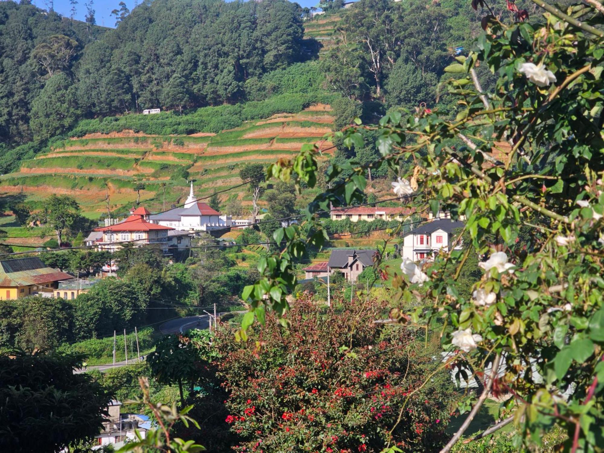 Haven backpackers Vandrarhem Nuwara Eliya Exteriör bild