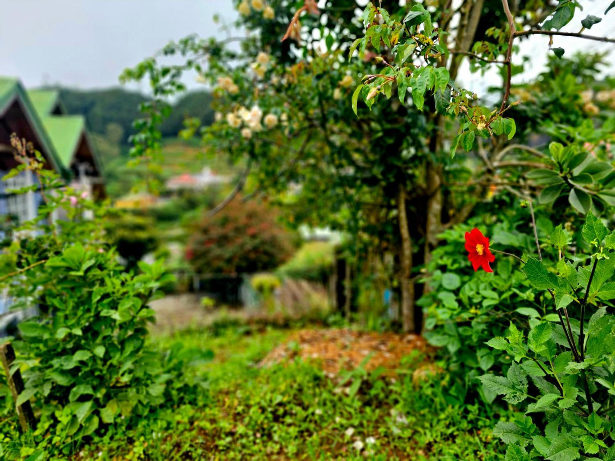 Haven backpackers Vandrarhem Nuwara Eliya Exteriör bild