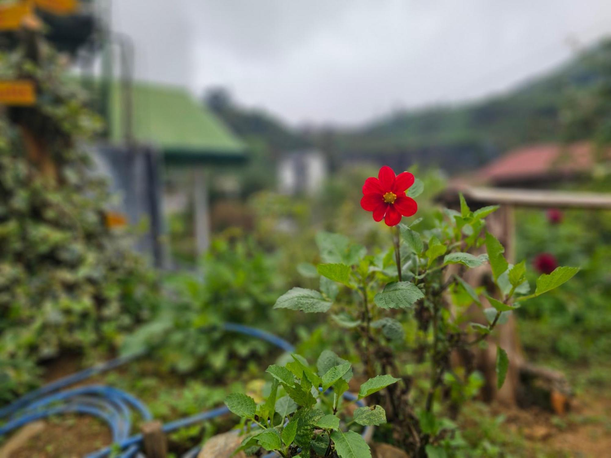 Haven backpackers Vandrarhem Nuwara Eliya Exteriör bild