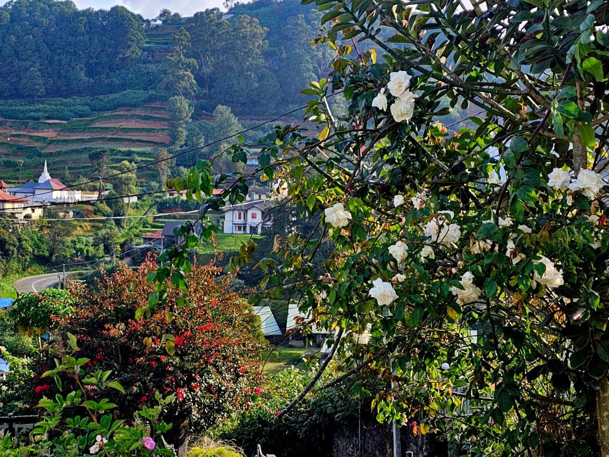 Haven backpackers Vandrarhem Nuwara Eliya Exteriör bild